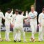 Ireland New Zealand Test Cricket