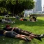 Unusually Early, Deadly Heatwave Scorches Western Europe