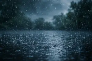 Rain